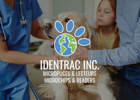 Conception Site Web Montreal